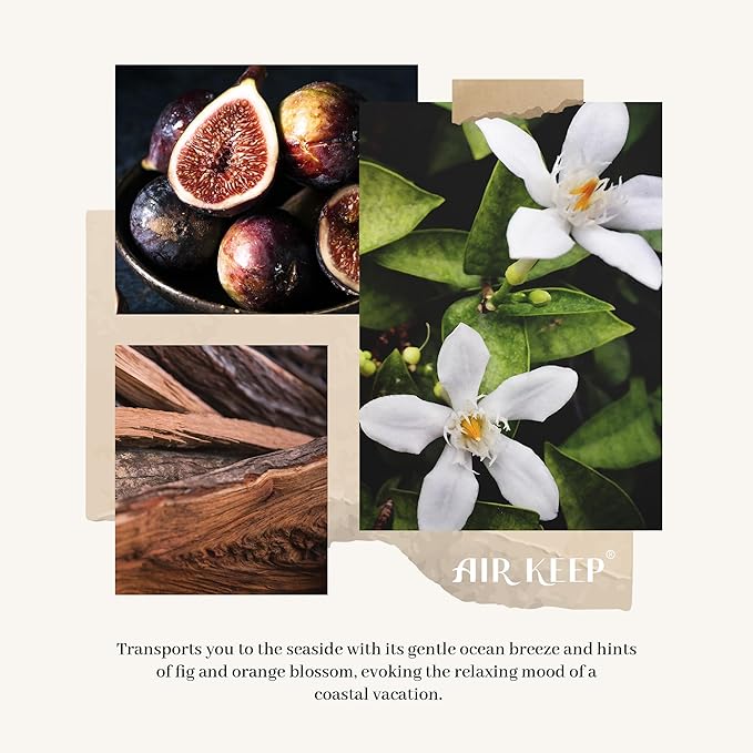 Airkeep Ocean Mist & Sea Salt Reed Diffuser – 100ml Home Fragrance with 8 Reeds